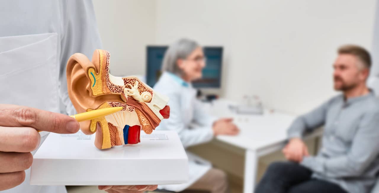 Model of an ear, audiologist and patient in the background.
